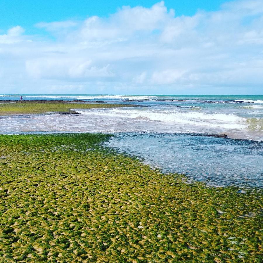 איטאסימירים Pousada Ilha Do Meio מראה חיצוני תמונה