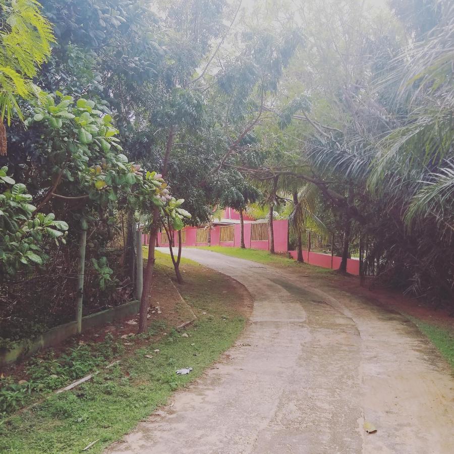 איטאסימירים Pousada Ilha Do Meio מראה חיצוני תמונה